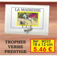 TROPHEE VERRE PRESTIGE : REF. W222 - 18 x 13 CM